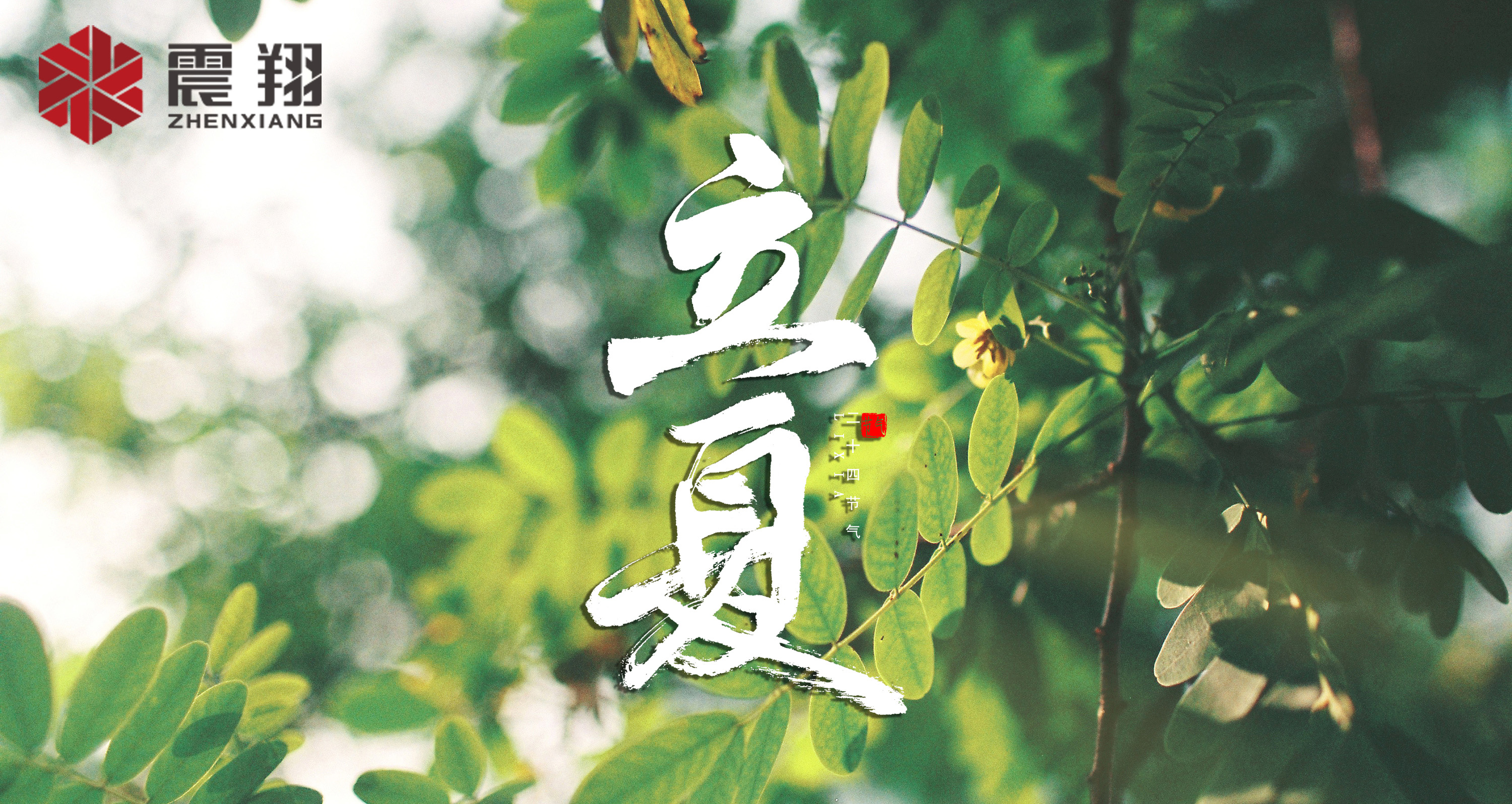 【立夏】春去春來(lái)不曾留意,夏日當(dāng)歸,撲面而來(lái)